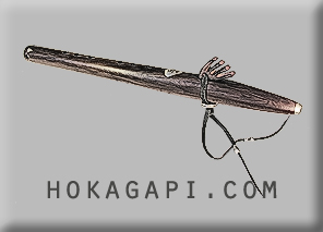 hokagapi.com