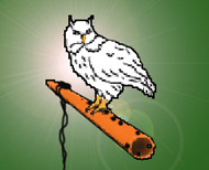 whiteowlflutes