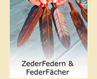 ZederFedern